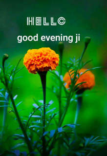 Good Evening Friends